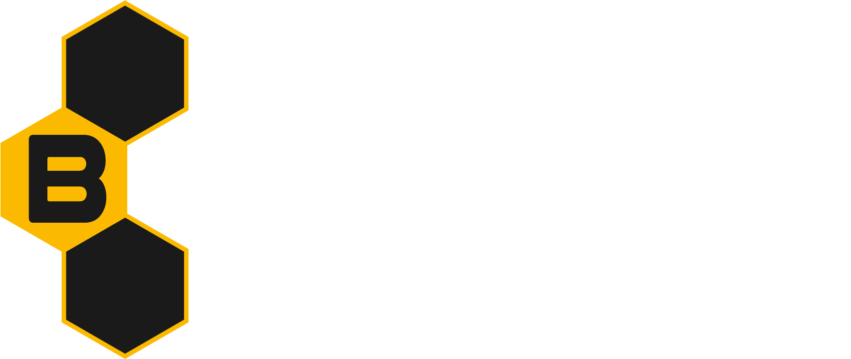 BEETECH 3D